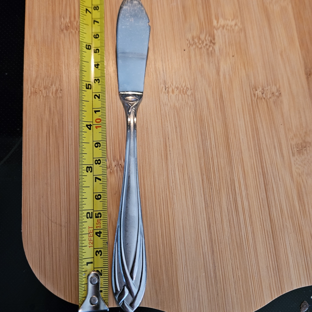 Hampton Silversmith Stainless Silverware : Lace Frosted Knife